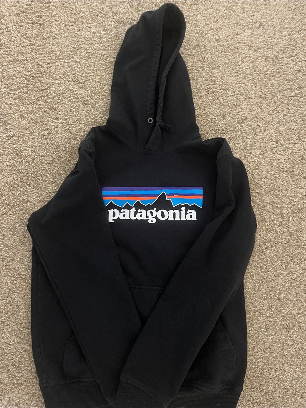 Patagonia Black Hoodie with Blue and Purple Logo Stripes